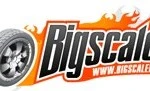Logo Bigscaler