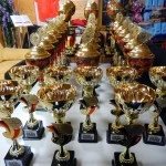 DSCN3949